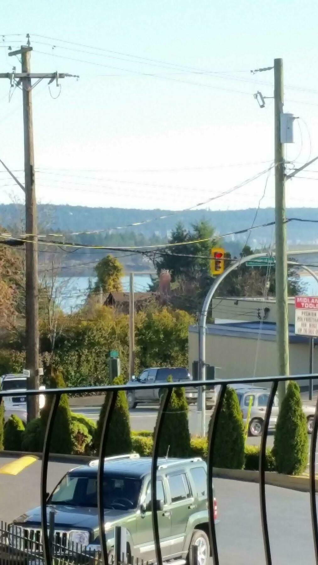 Port-O-Call Inn Nanaimo Zewnętrze zdjęcie